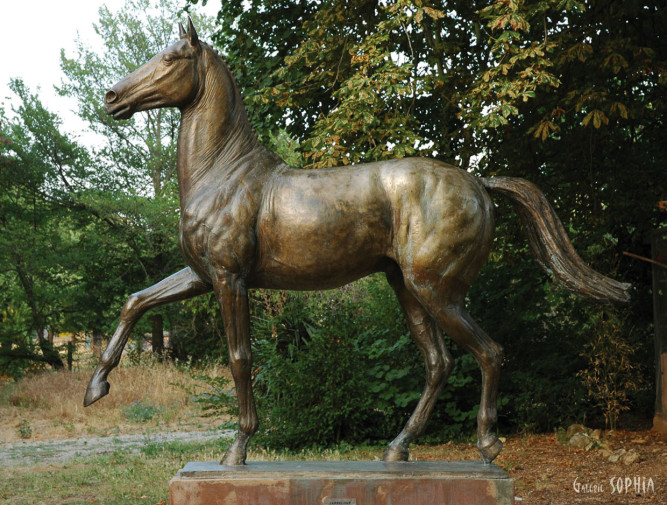 Bronze sculpture Jappeloup